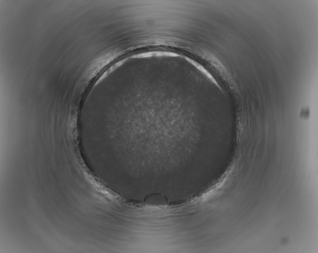 X0000116780977201001281118