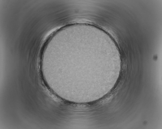 X0000116780979201001281118