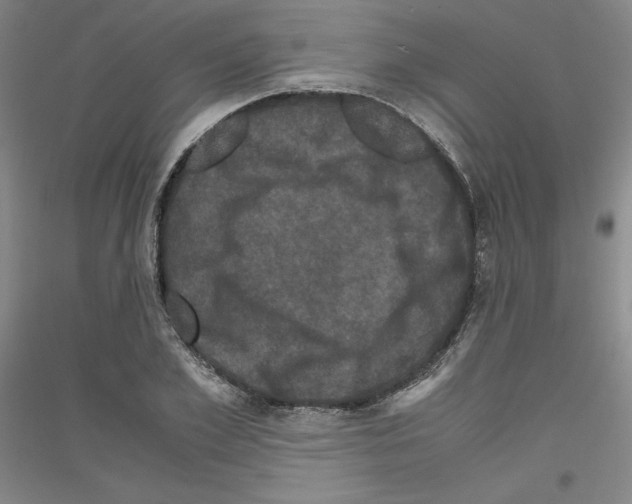 X0000116780981201001281118