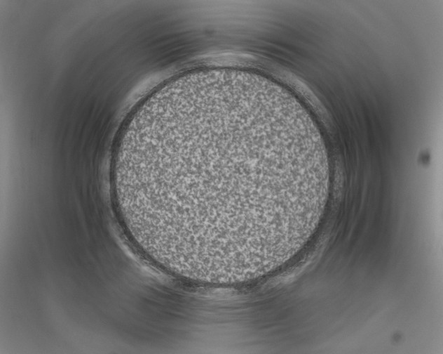 X0000116780986201001281118