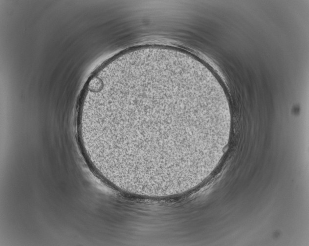 X0000116780987201001281118