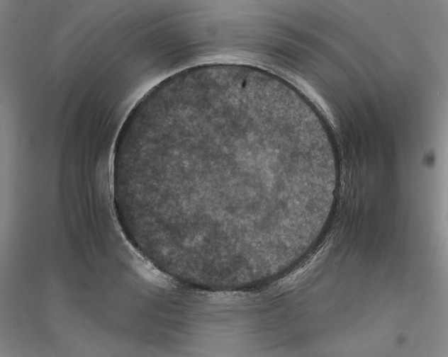 X0000116780988201001281118