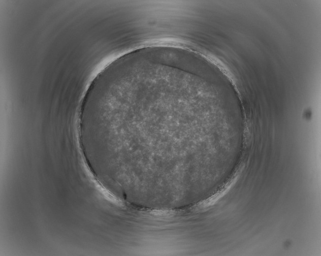 X0000116780989201001281118