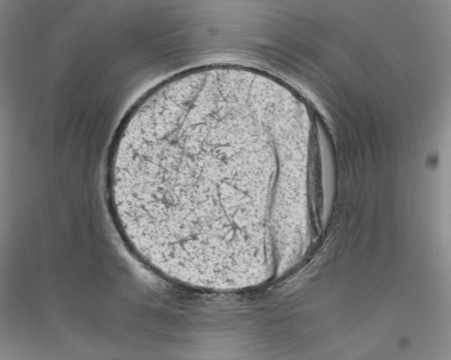 X0000116780991201001281118