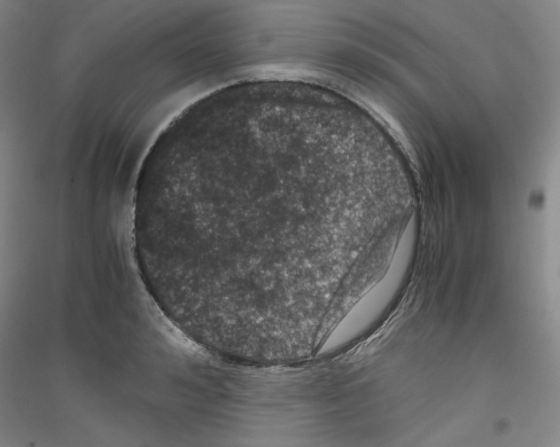 X0000116780992201001281118