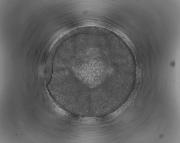 X0000116780993201001281118