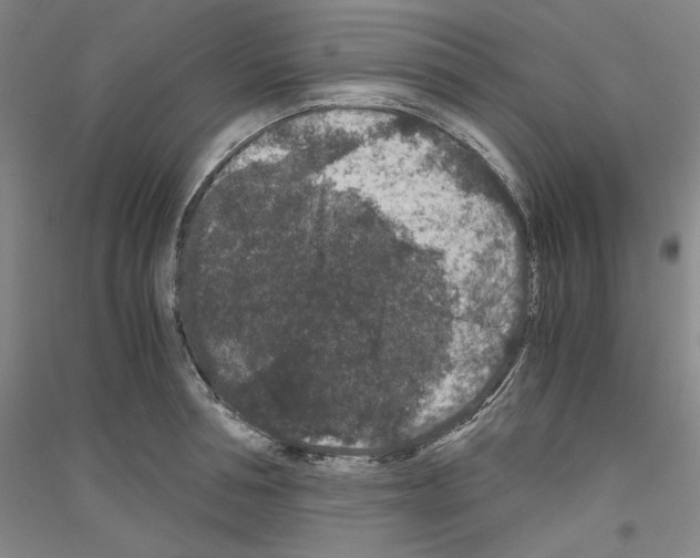 X0000116780994201001281118