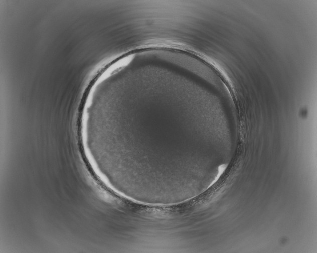 X0000116780995201001281118