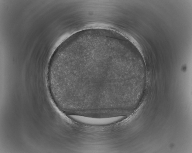 X0000116780997201001281118