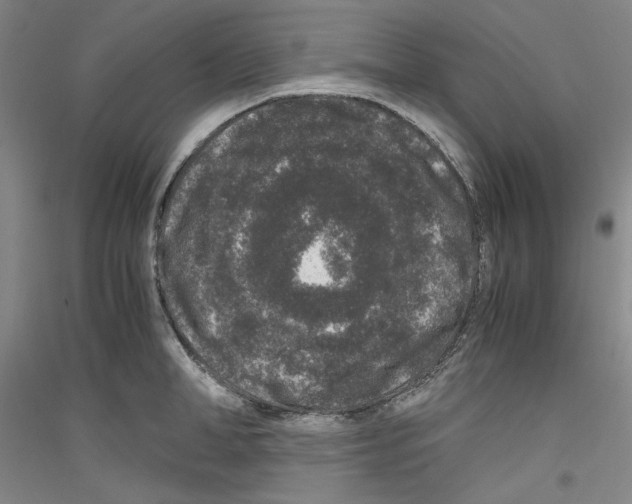 X0000116780998201001281118