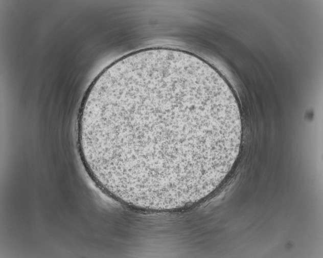 X0000116780999201001281118