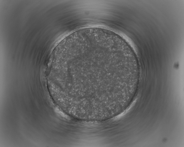 X0000116781001201001281118