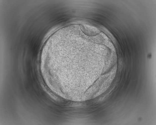 X0000116781002201001281118