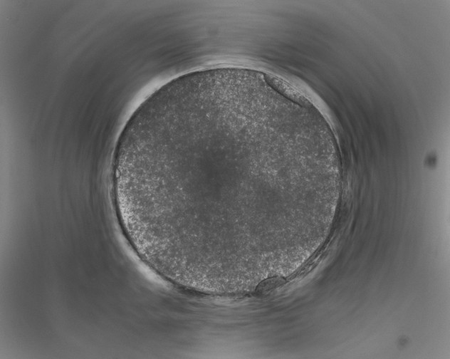 X0000116781005201001281117