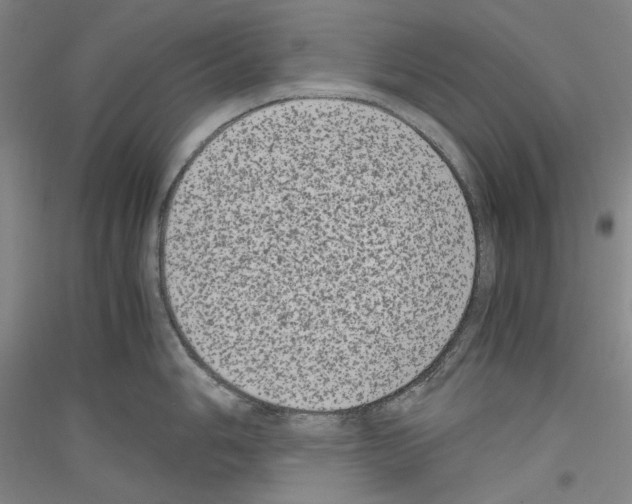 X0000116781006201001281117