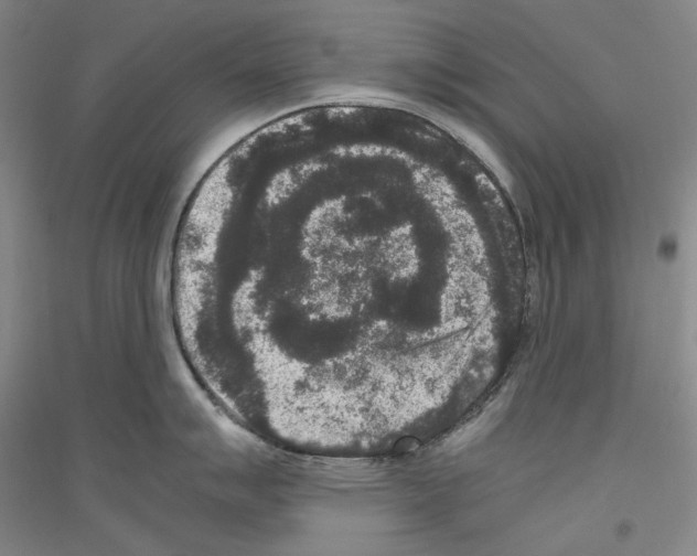 X0000116781007201001281117