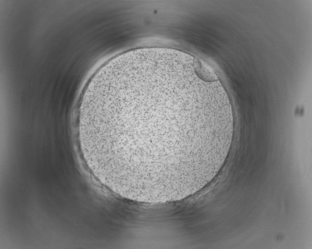 X0000116781008201001281117