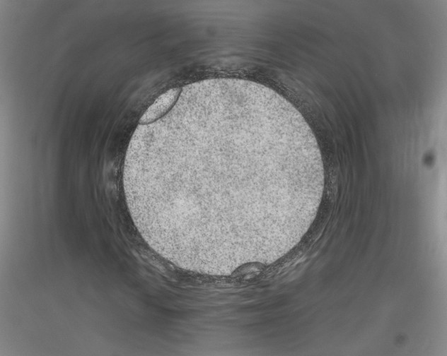 X0000116781010201001281117