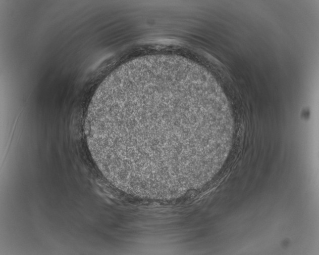 X0000116781014201001281117