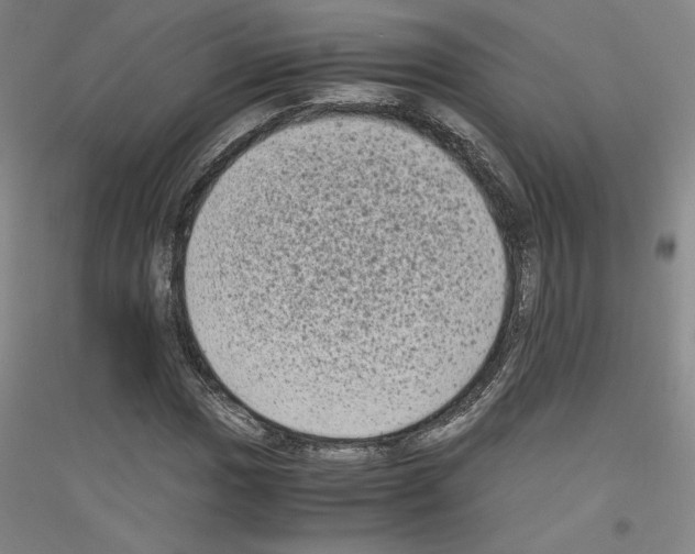 X0000116781017201001281117