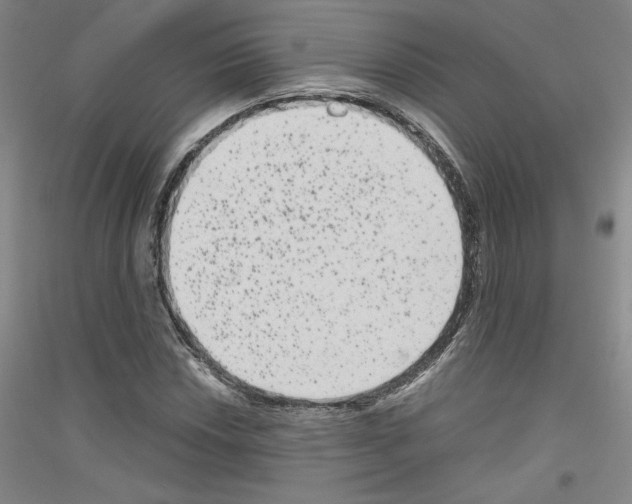 X0000116781018201001281117