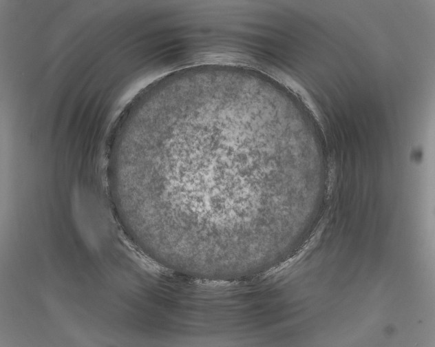 X0000116781019201001281117