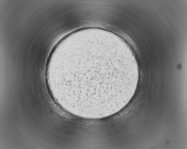 X0000116781020201001281117