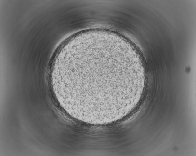 X0000116781021201001281117