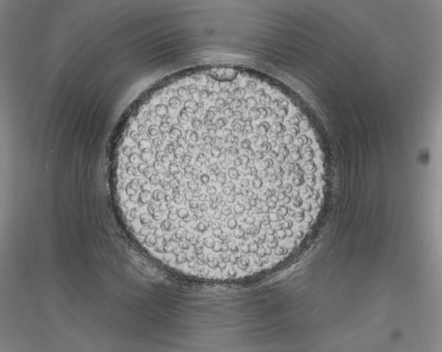 X0000116781022201001281117