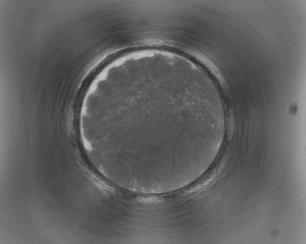 X0000116781023201001281117