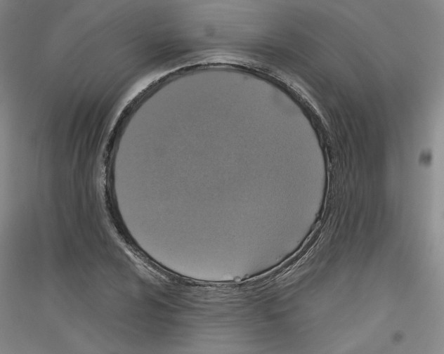 X0000116781024201001281117