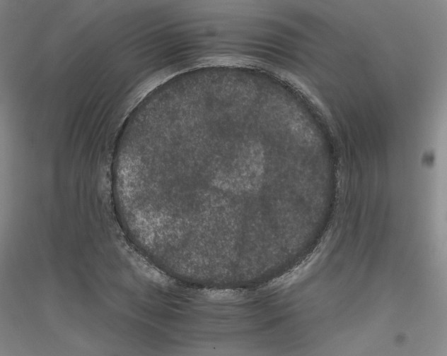 X0000116781025201001281117