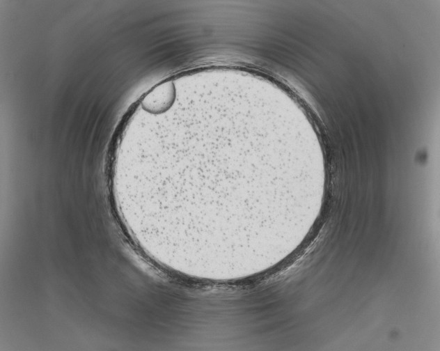 X0000116781026201001281117