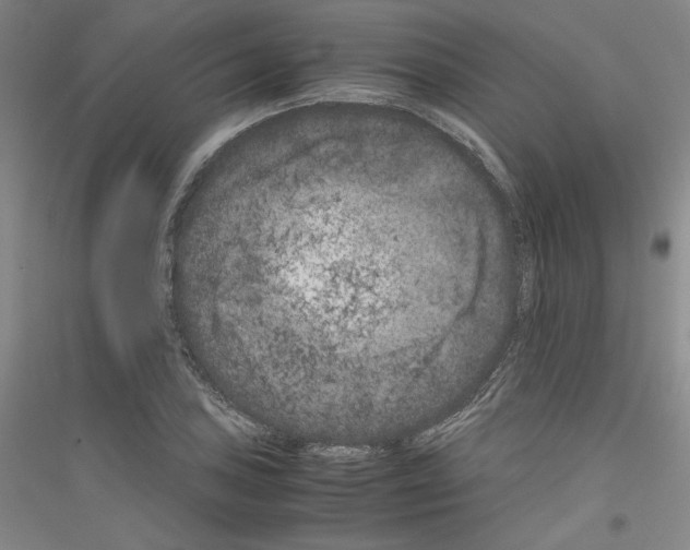 X0000116781027201001281117