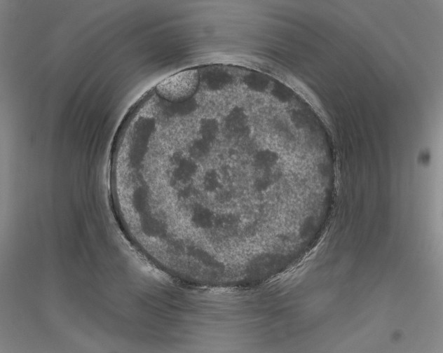 X0000116781028201001281117