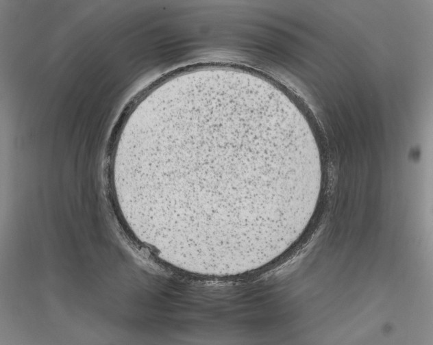 X0000116781029201001281117