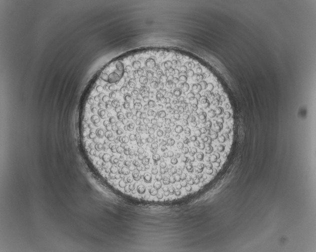 X0000116781030201001281117