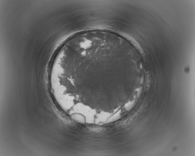 X0000116781031201001281117