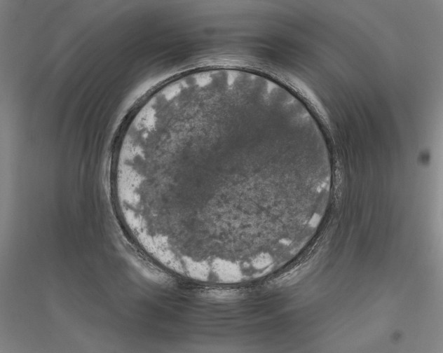 X0000116781035201001281117