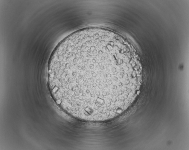 X0000116781036201001281117