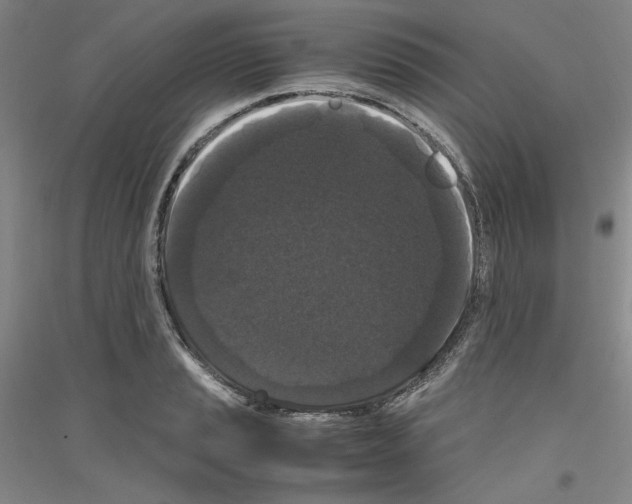 X0000116781037201001281117