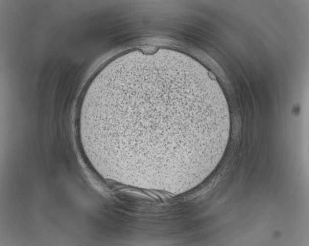 X0000116781039201001281117