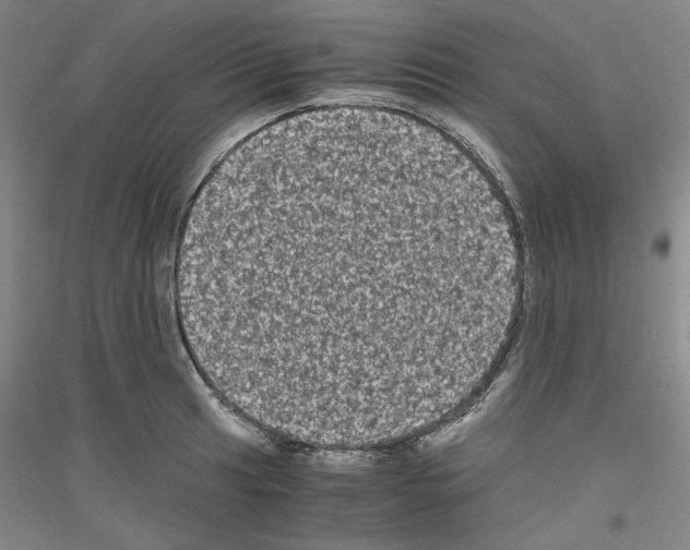 X0000116781041201001281117