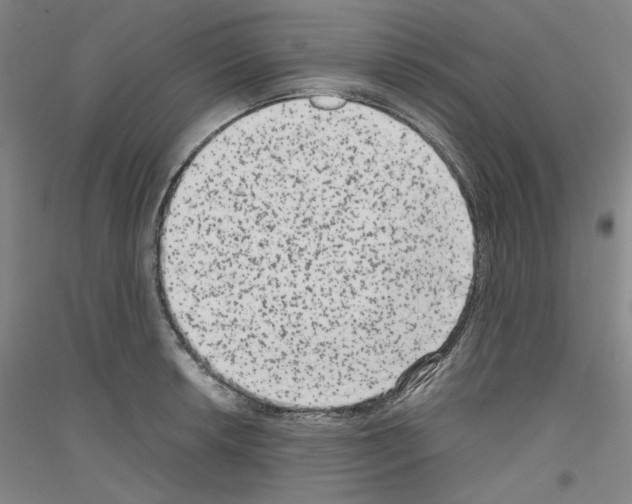 X0000116781042201001281117