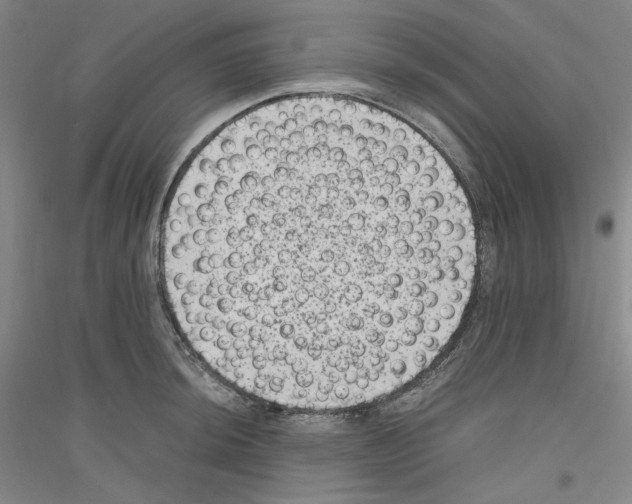 X0000116781044201001281117