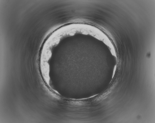 X0000116781045201001281117