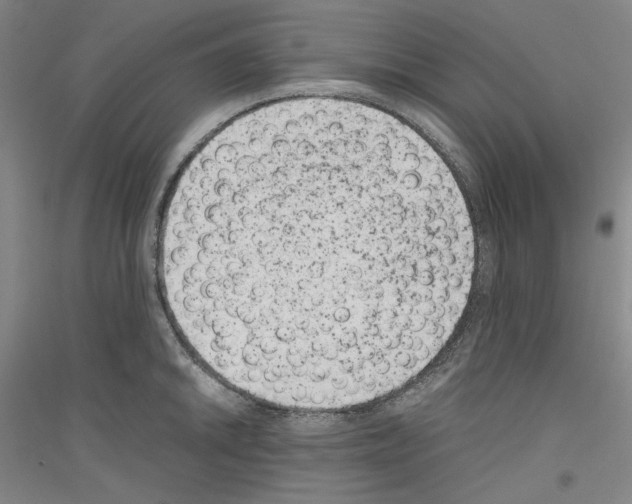 X0000116781046201001281117