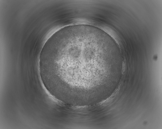 X0000116781047201001281117