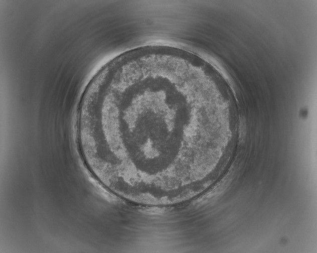 X0000116781048201001281117