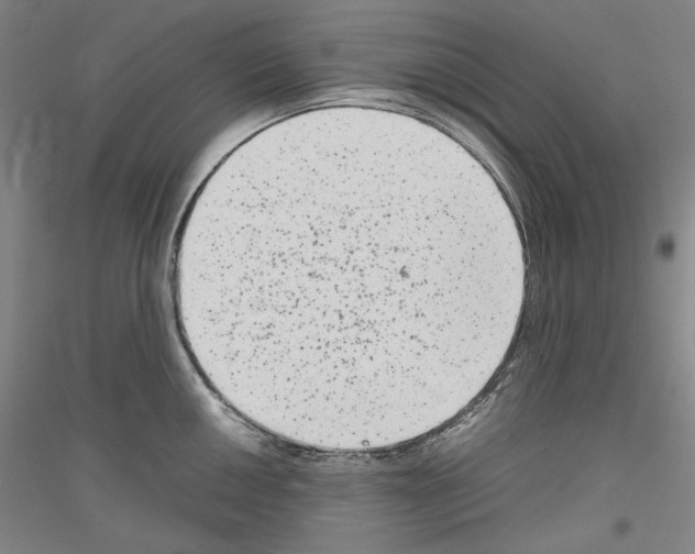 X0000116781050201001281117